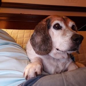 Meet your Posher, Marya